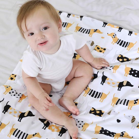 Couverture bébé chien saucisse bébé assis